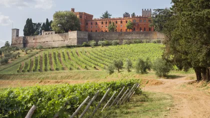 Ab Siena: Chianti-Weintour mit Mittagessen