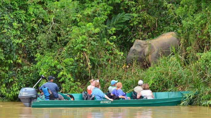 from sandakan kinabatangan wildlife sanctuary day trip