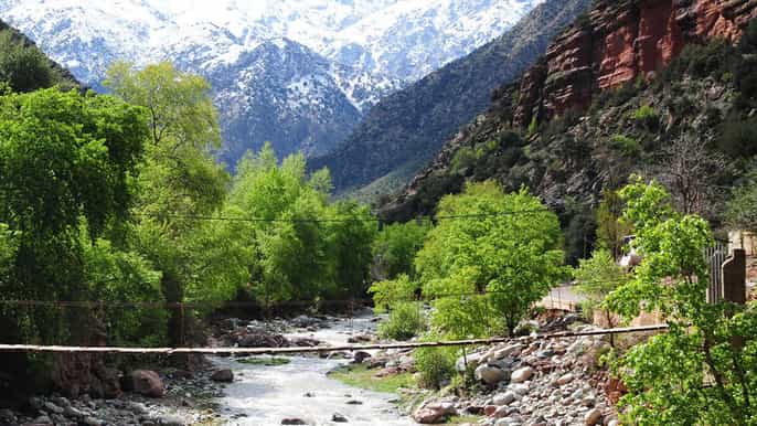 ourika valley and atlas mountains day tour from marrakech