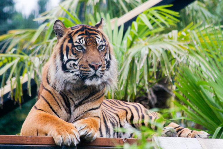 Bilet wstępu do zoo w EdynburguBilet standardowy