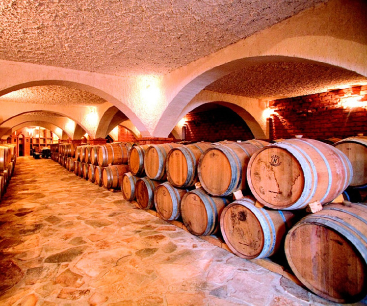 From Split & Trogir: Pelješac Peninsula Food & Wine Tour