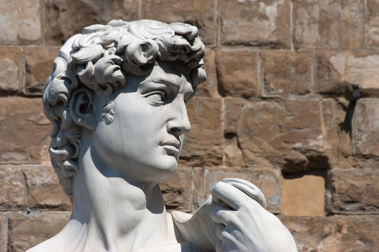 Florence: David & Uffizi Gallery Guided Tour for Small Group City Center + David + Uffizi - PRIVATE Tour (English)