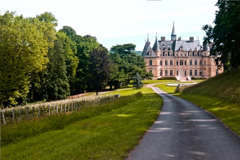 From Paris: Champagne Trip & Tasting at Nicolas Feuillatte