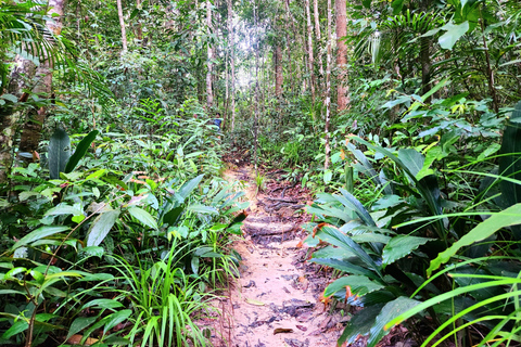 Krabi: Dragon Crest Sunrise Hike &amp;Klong root Kayak AdventureKrabi: Dragon Chest Sunrise Hike &amp;Klong root Kayak Adventure