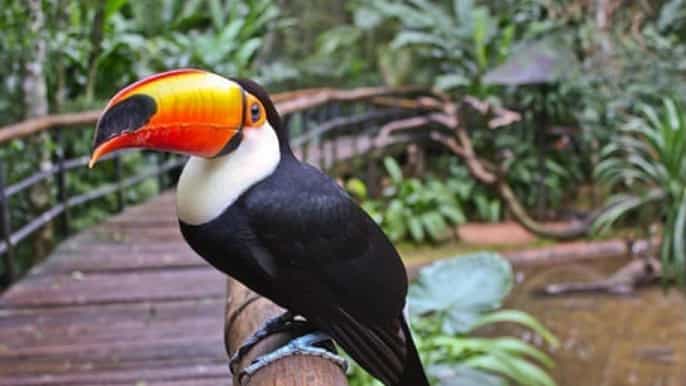 malta führung im vogelpark national aquarium