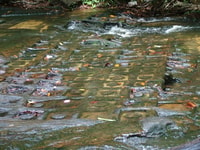 Kulen Mountain, Tour de cascade privée d'une journée - Housity