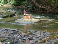 Kulen Mountain, Tour de cascade privée d'une journée - Housity