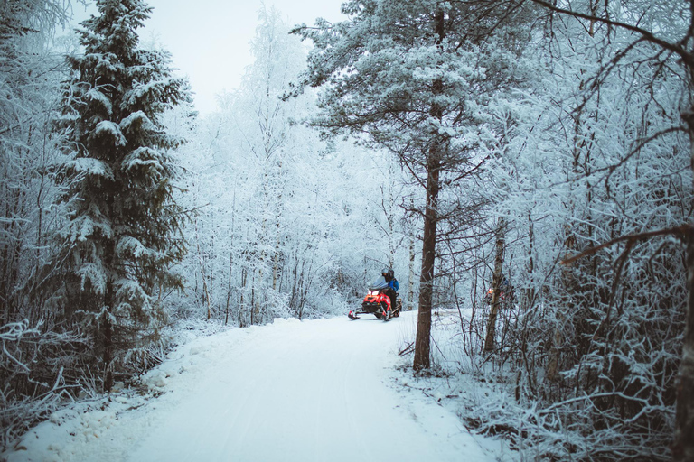 Rovaniemi: Early Winter 2 Hour Snowmobile Safari