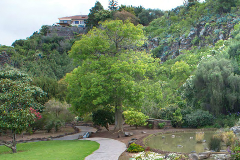 From Las Palmas: Half day tour Volcano Bandama & Vineyard