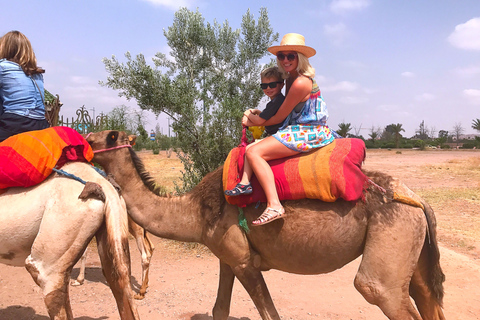 Da Marrakech: giro in cammello di 1 ora in un palmeto