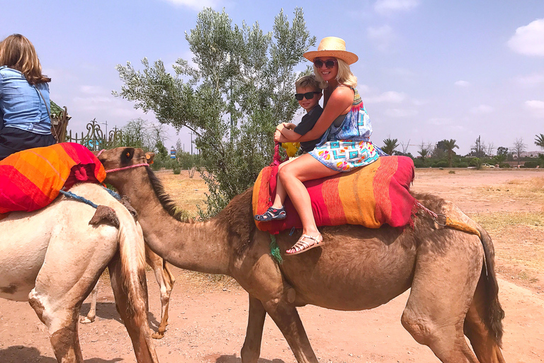 Marrakech : balade en chameau dans la palmeraie