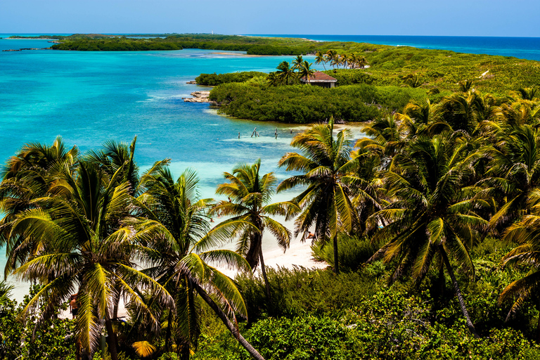 Isla Contoy e Isla Mujeres: tour con opzioni di transferDa Cancún