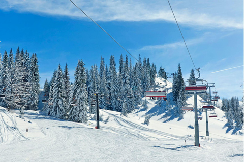 Zurigo: Escursione privata di un giorno a Lucerna, Engelberg e il monte Titlis