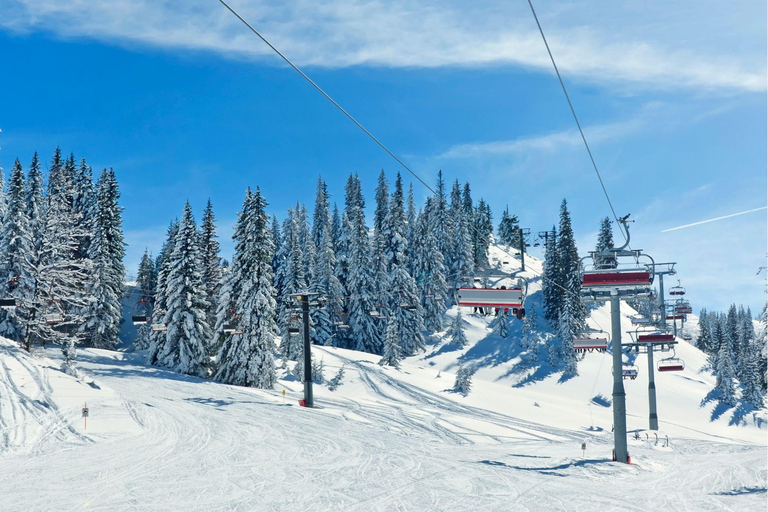 Zurigo: Escursione privata di un giorno a Lucerna, Engelberg e il monte Titlis