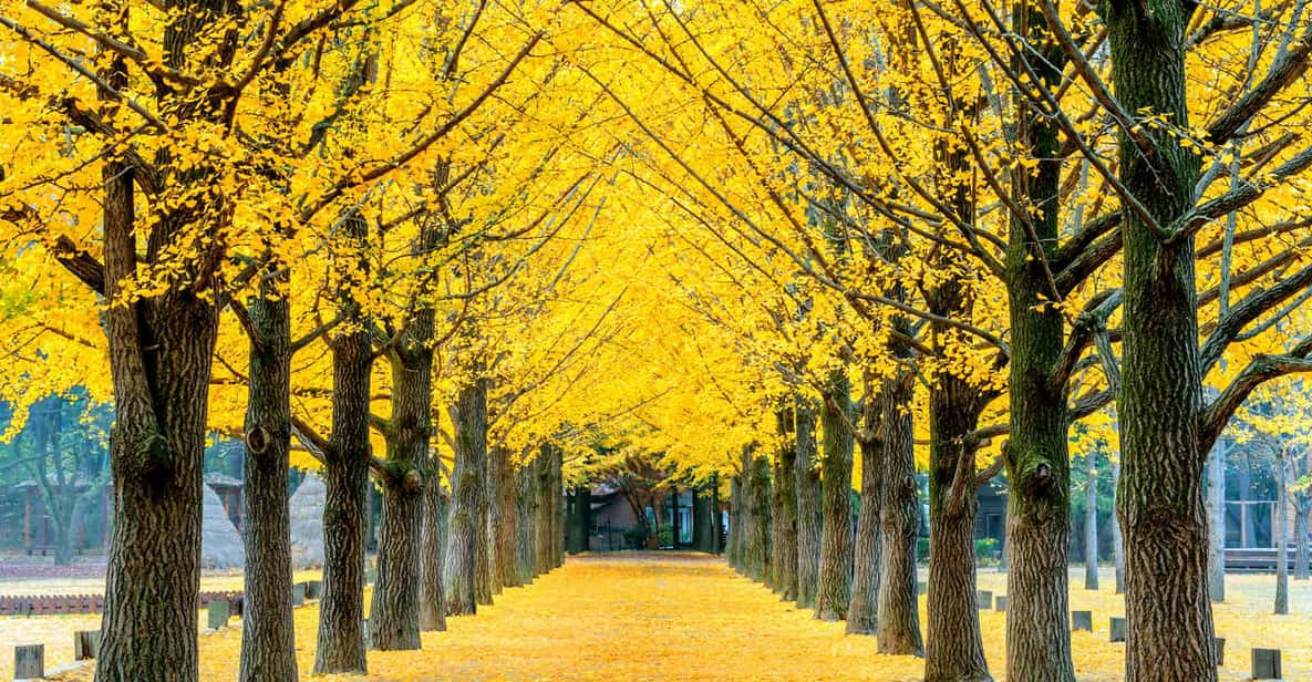Namiseom, Petite France, สวน Garden of Morning Calm