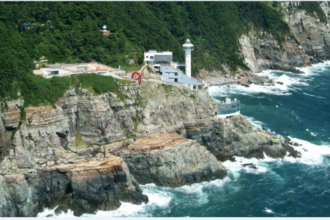 Busan: Full-Day City Tour Tour with Seomyeon Station Departure (8:40 AM)