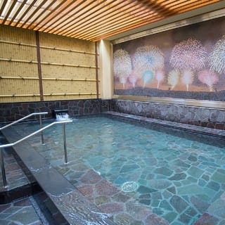 Tokyo: Thermae-Yu Hotspring in Shinjuku Entrance Ticket