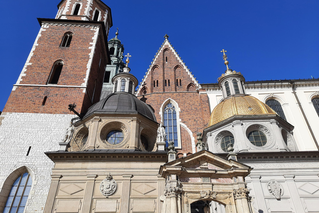 Cracovia: tour guidato del castello e della cattedrale del Wawel