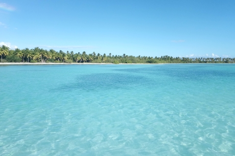 Der Osten der Dominikanischen Republik: Tagesausflug zur Insel SaonaAbholung in La Romana an einer beliebigen Adresse