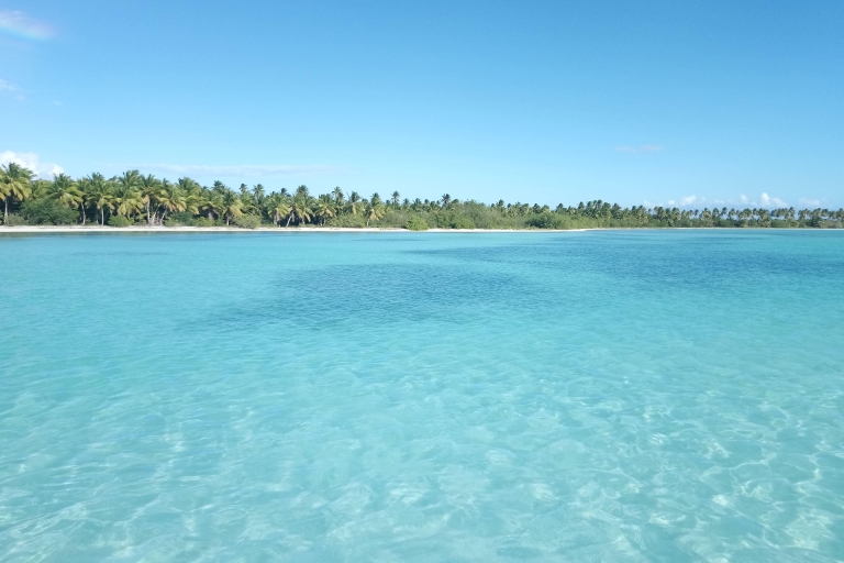 Wschodnia Dominikana: jednodniowa wycieczka na wyspę SaonaOdbiór z Uvero Alto
