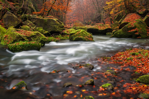 Bohemian Switzerland: Private Day Trip from Prague