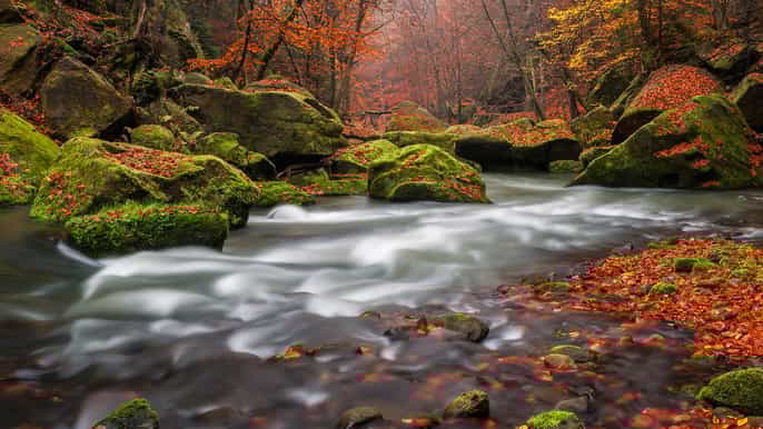 bohemian switzerland private day trip from prague