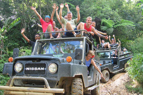 Ko Samui : safari en 4x4 dans la jungle sauvage avec déjeunerVisite de groupe en allemand