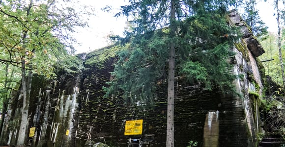 Wolfschanze: Privater Transfer ab Danzig