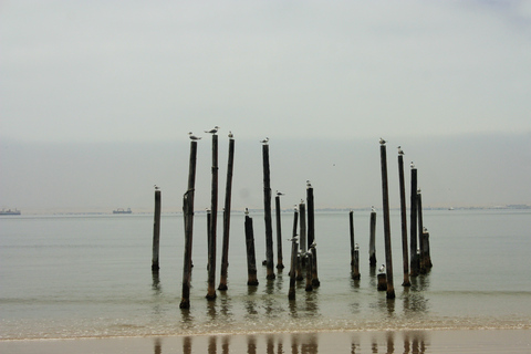 Highlight of Walvis Bay- Seal Colony & Dune 7