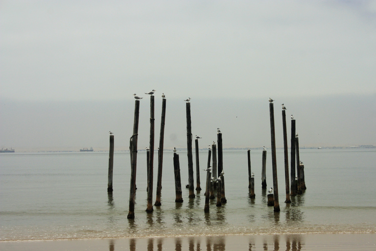 Highlight of Walvis Bay- Seal Colony & Dune 7