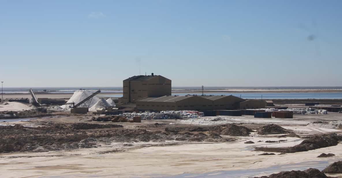 Highlights of Walvis Bay, Dune 7 Shore Excursion