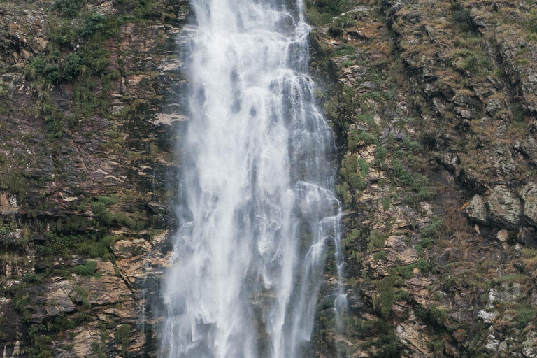 From São Paulo: 5-Day Serra da Canastra Wildlife Safari