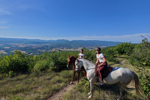 Horseback riding in Provence Luberon