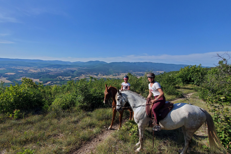 Horseback riding in Provence Luberon