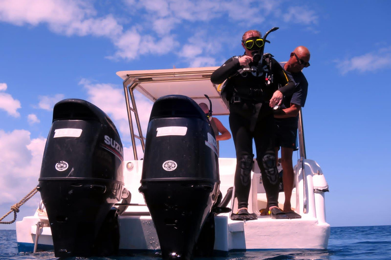 Blue Bay: Discover Scuba Diving