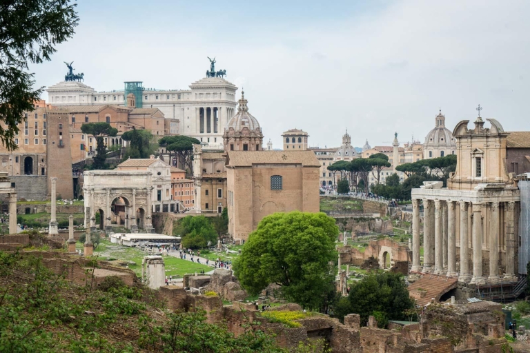 Colosseum and Palatine Hill Skip-the-Line Tour Colosseum and Palatine Hill Private Tour