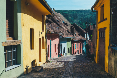 From Brasov: Day Trip to Sighisoara & Viscri