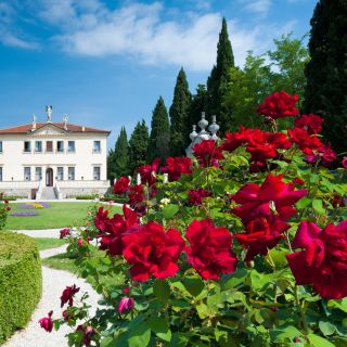 Villa Valmarana e affreschi di Tiepolo: biglietto d'ingresso
