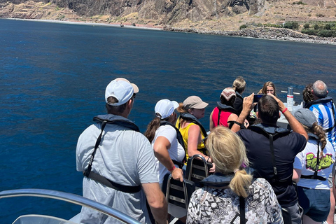 Boat Trip - Ponta de São Lourenço + Snorkeling Snorkeling Experience - Ponta de São Lourenço
