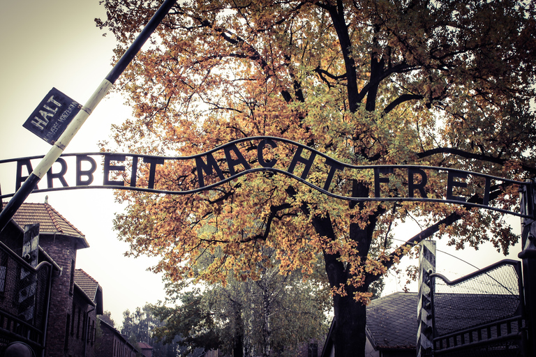 De Cracovie : transfert aller-retour à Auschwitz-Birkenau en busTransfert aller-retour, billet d'entrée et visite guidée