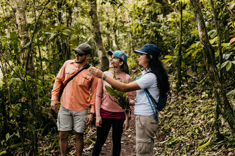 Discover the Lagoon on the Crater of Ipala Volcano