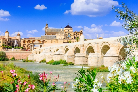 Córdoba: tour guiado Mezquita-Catedral, Sinagoga y AlcázarTour en inglés