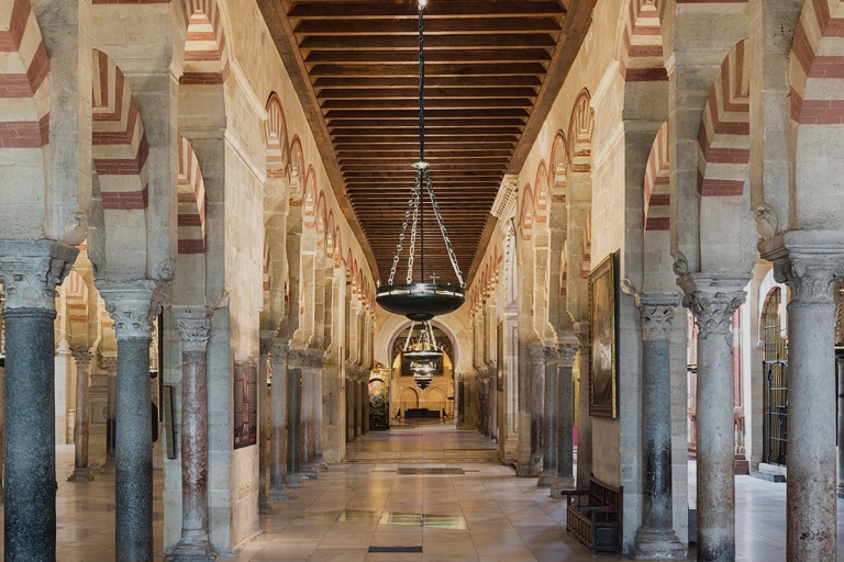 Cordoue : mosquée-cathédrale, synagogue et Alcazar guidésVisite en anglais