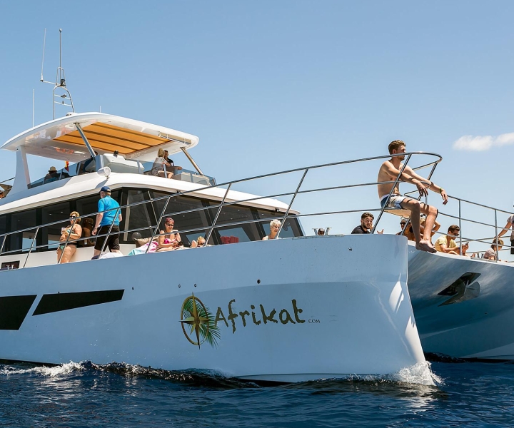 Gran Canaria: crucero divertido en catamarán con comida y bebida