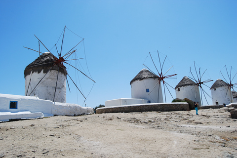 De Naxos: Viagem de 1 dia para a ilha de MykonosDe Naxos: viagem de ida e volta à Ilha de Mykonos