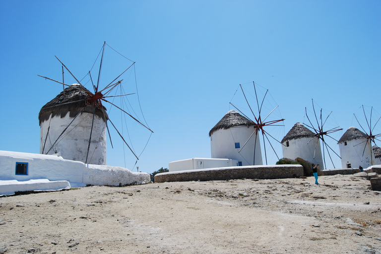 From Naxos: Round day trip to Mykonos Island