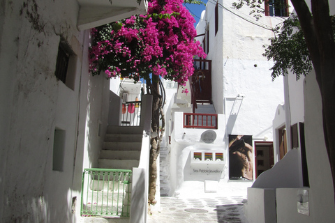 Van Naxos: Dagtrip naar het eiland MykonosVan Naxos: dagtocht naar het eiland Mykonos