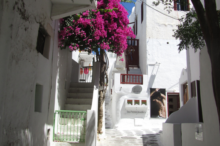 Desde Naxos: Excursión de un día a la isla de MykonosDesde Naxos: excursión de ida y vuelta a Miconos