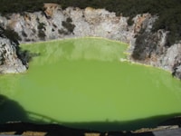 From Rotorua, Wai O Tapu & Waimangu Eco Thermal Morning Tour - Housity