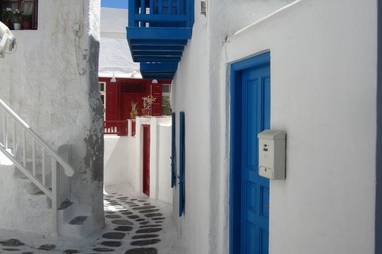 De Paros: viagem de 1 dia para MykonosDe Paros: viagem de um dia a Mykonos